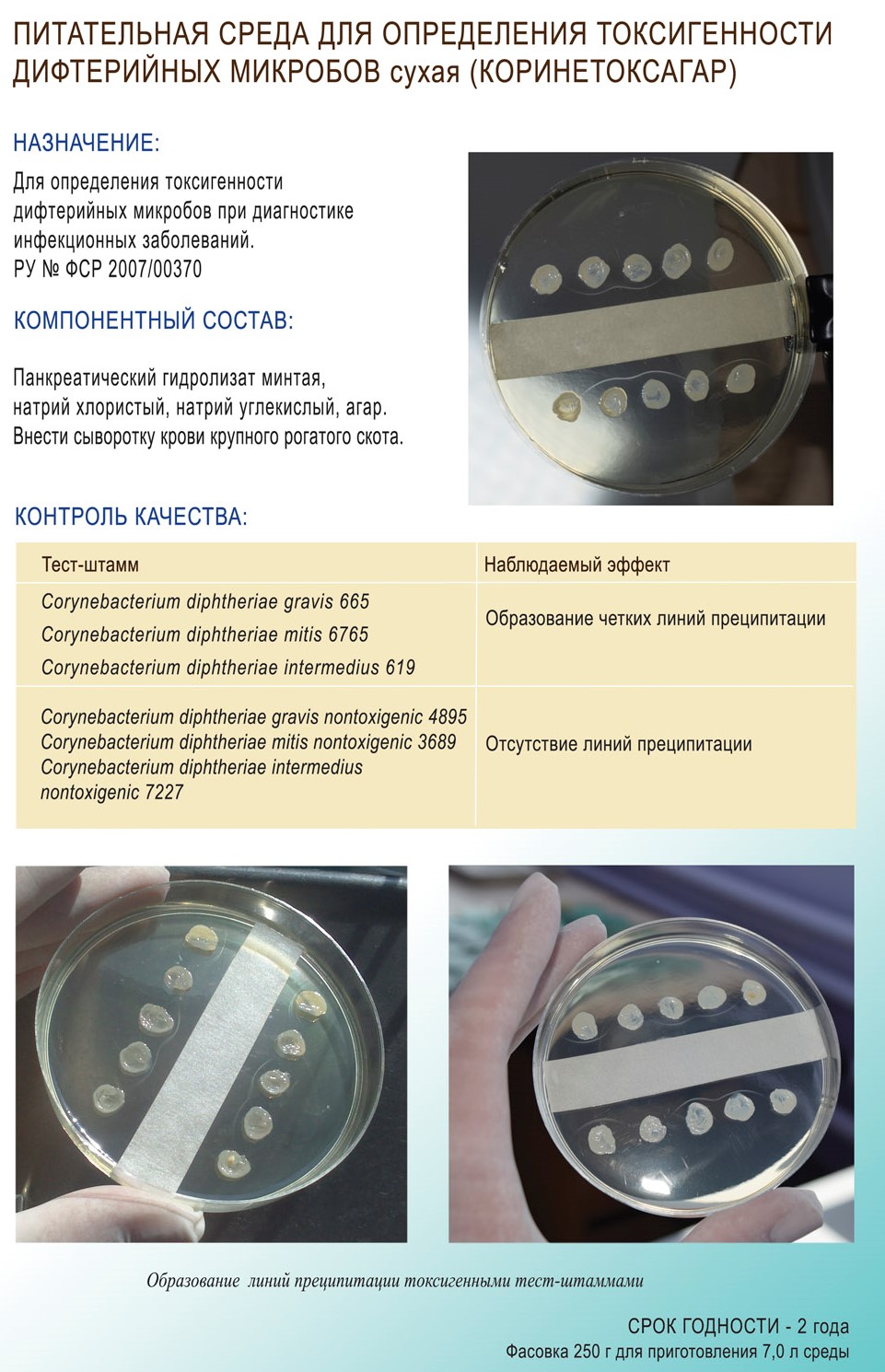 Продукция